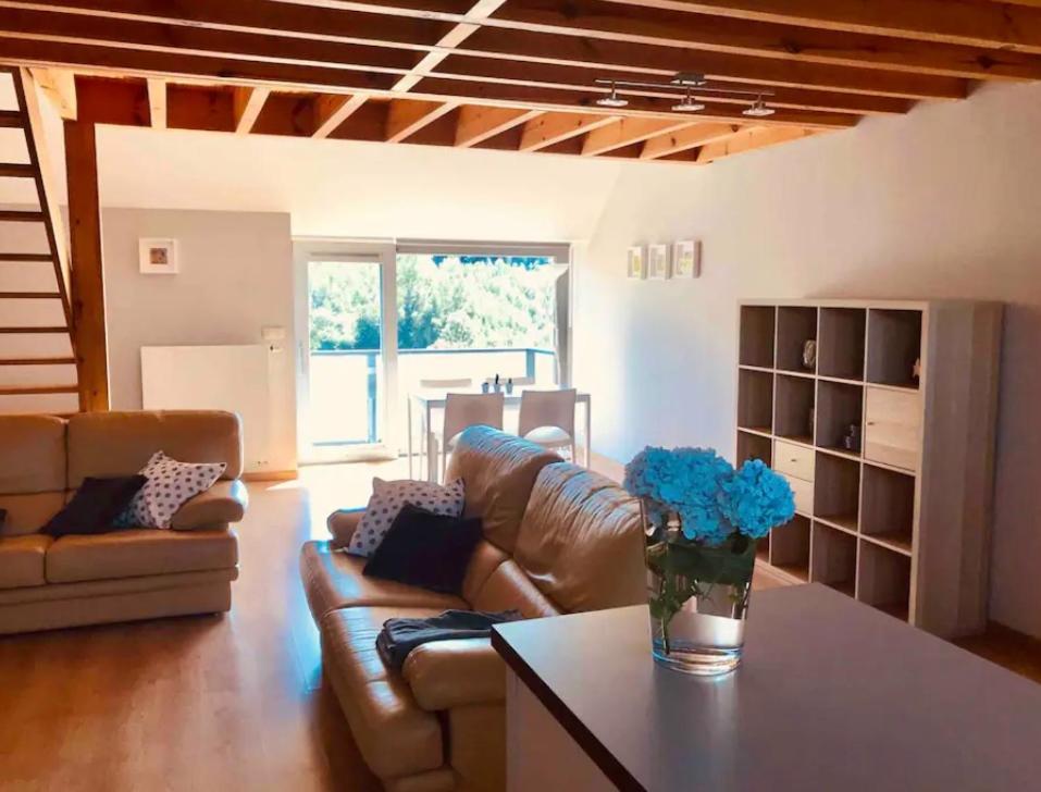Apartment Duplex Avec Superbe Vue Boisee Esneux