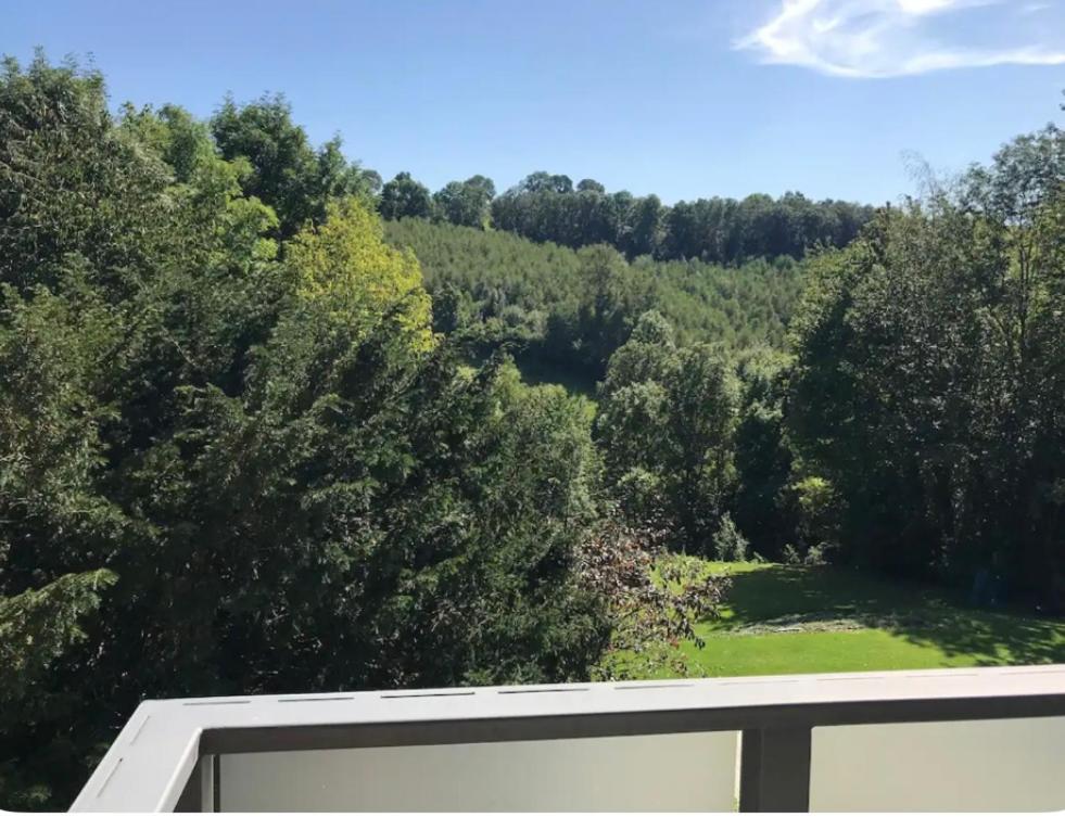 Apartment Duplex Avec Superbe Vue Boisee