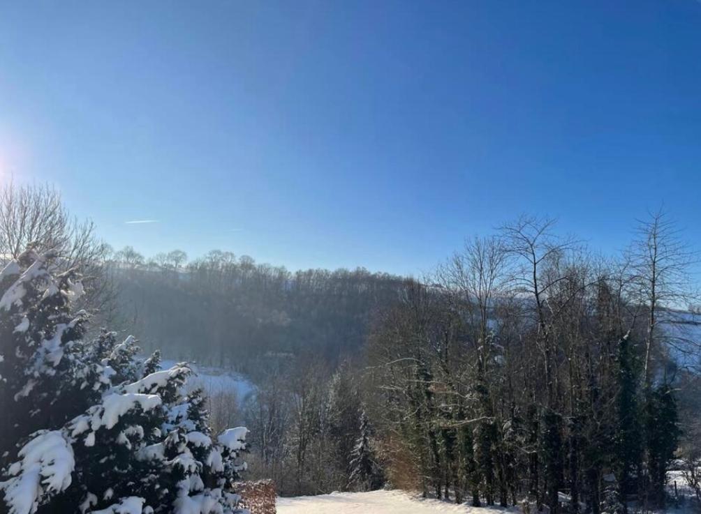 Apartment Duplex Avec Superbe Vue Boisee *